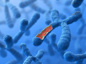 Rdzeniowy zanik mięśni uszkodzenia DNA